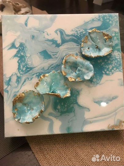 Морские ракушки раковины Устрица Устричные ракушки