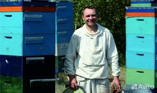 Алтайский мед в омске