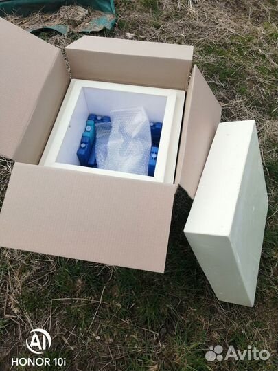 Термоконтейнер медицинский