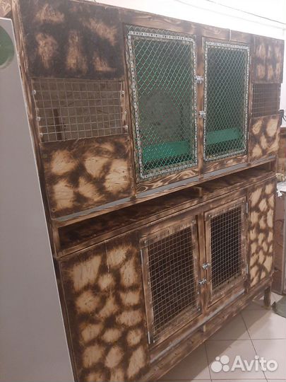 Брудер для цыплят