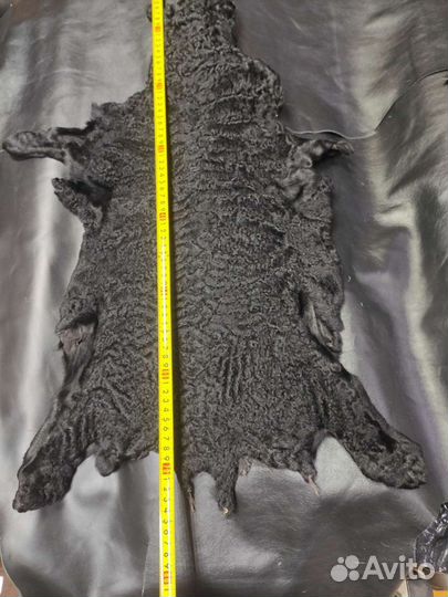 Шкура каракуля