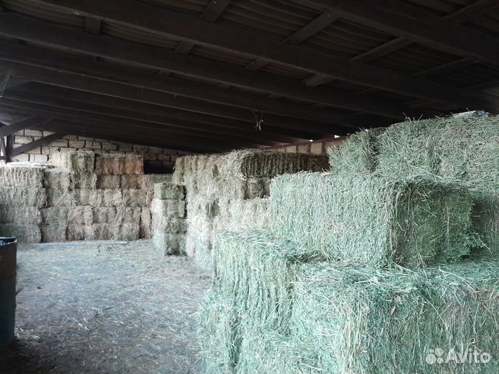 Сено люцерны, разнотравия