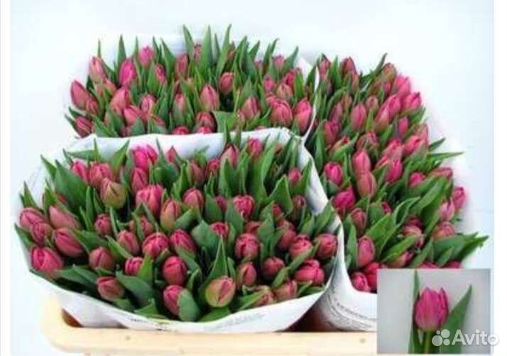 Живые, свежие цветы, букеты п. Тазовский