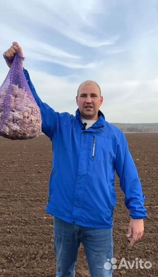 Чеснок с доставкой