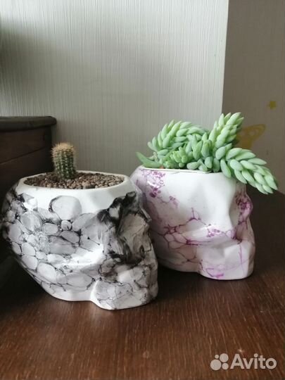 Цветочная композиция с суккулентами в 2х кашпо