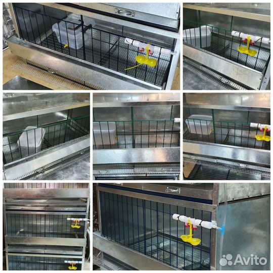 Клетки и Брудеры