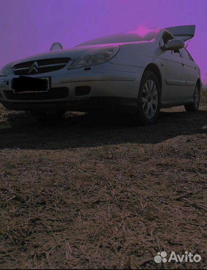 Трезвый водитель