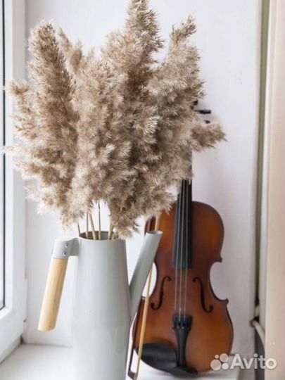 Сухоцветы/камыш/пампасная трава/трастник