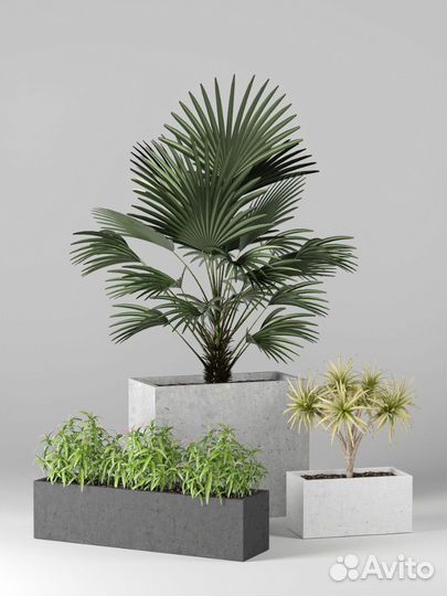 Бетонные вазоны на заказ и в наличии