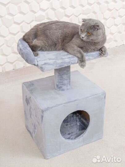 Когтеточка Домик для кошек / Игровой комплекс