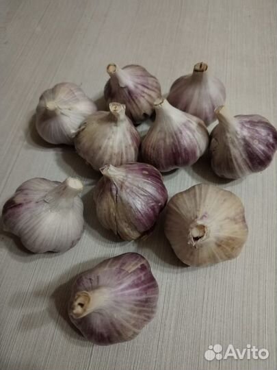 Чеснок