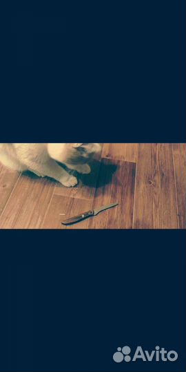 Ножичек советский подставка