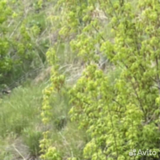 Труба бу 377х16 мм