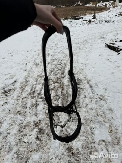 Уздечка для лошади