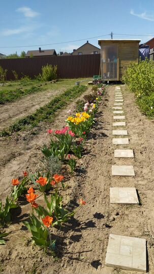 Участок 11,3 сот. (ИЖС)