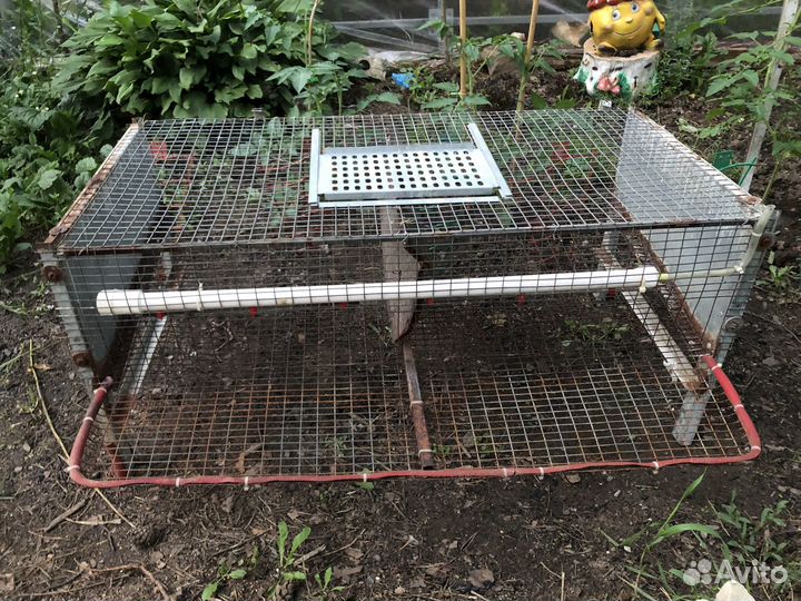 Клетка для перепелов