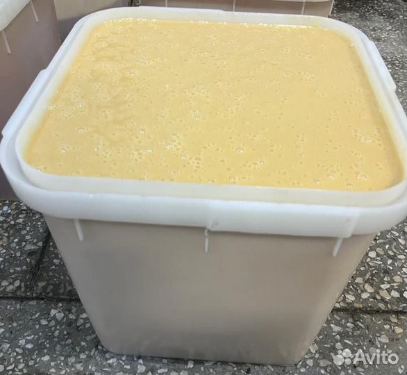 Мед Донник свежий оптом