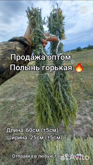 Полынь горькая: запарки для бани