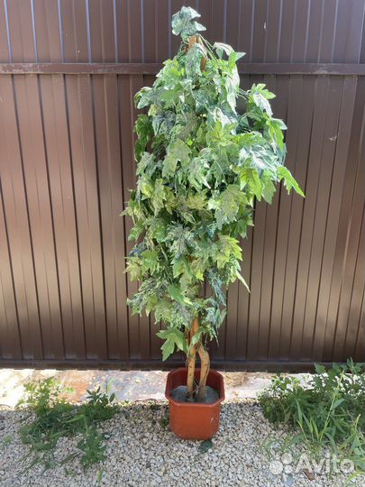 Искуственное растение