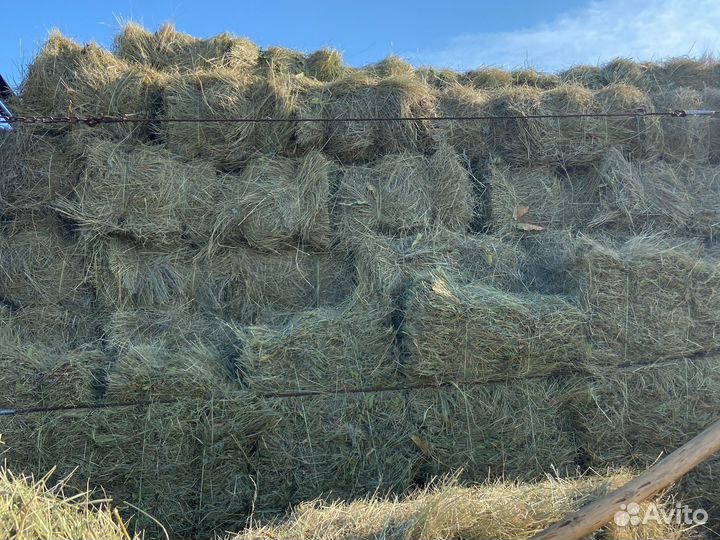 Сено в тюках