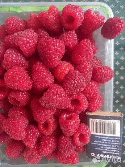 Домашние помидоры стручковая фасоль огурцы малина