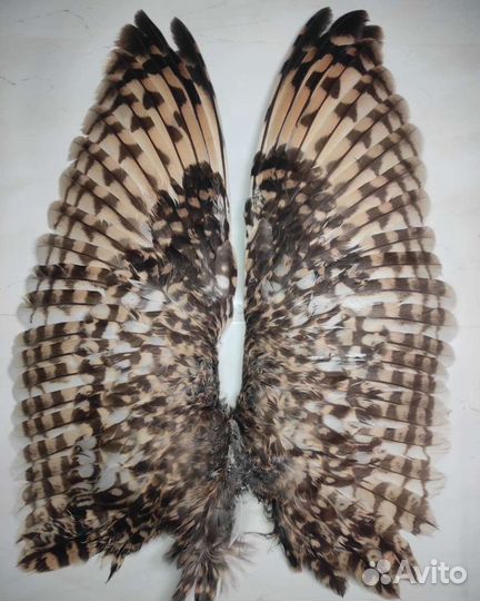 Части чучел