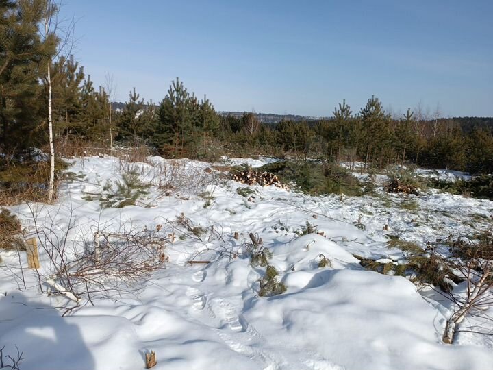 Участок 12 сот. (ИЖС)