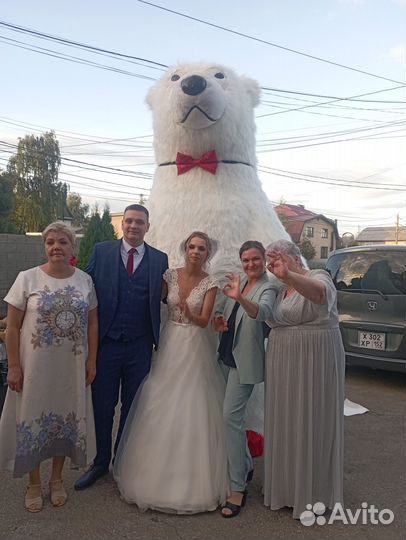 Ведущая + DJ, аппаратура, свет, дым, лазер, вокал