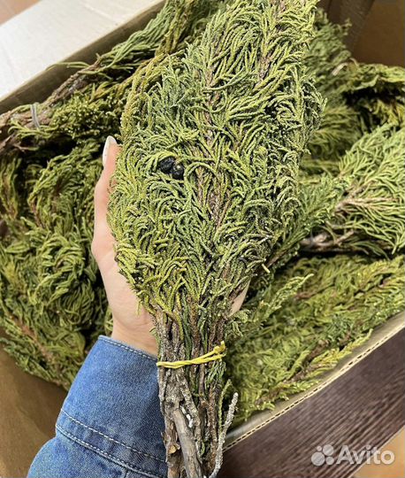 Артыш (арса) Алтайский, Можжевельник, шаман