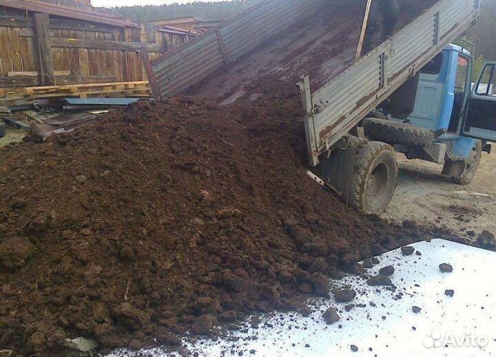 Перегной коровий