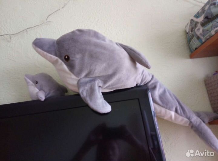 Акула из икеи