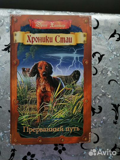 Книги Хроники Стаи