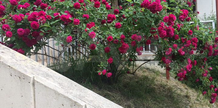 Участок 10 сот. (СНТ, ДНП)