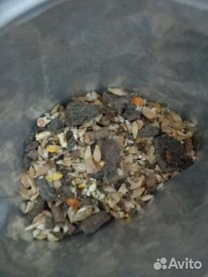 Корм для лошадей