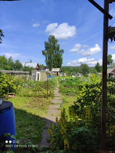 Дача 24 м² на участке 5 сот.