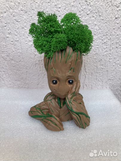 Кашпо Грут с мхом