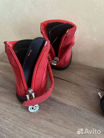 Ботинки для собак