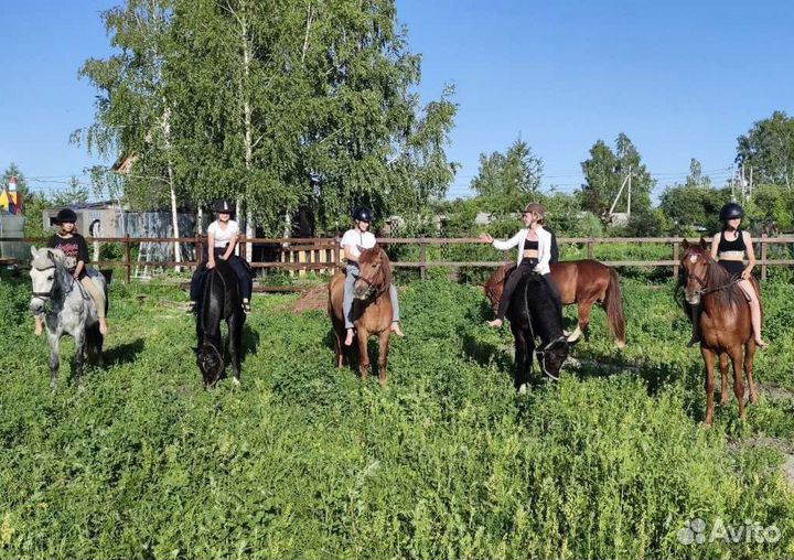 Обучение верховой езде, катание на лошадях