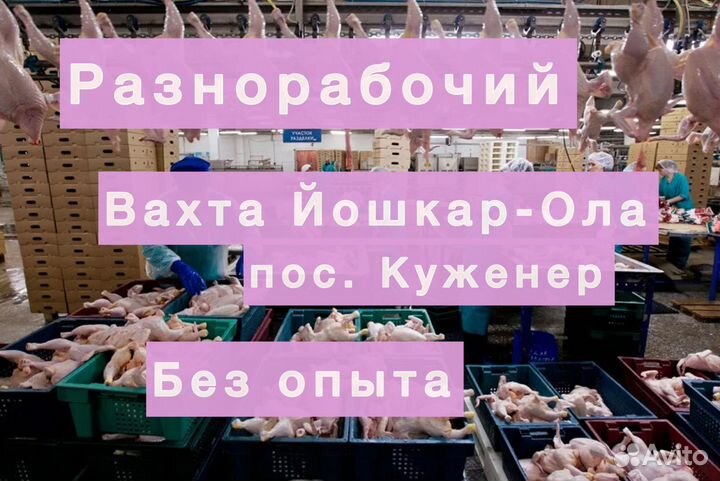 Упаковщик на птицефабрику в Йошкар-Ола