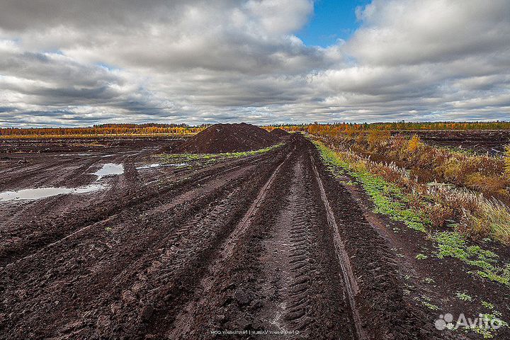 Почва, почвогрунт