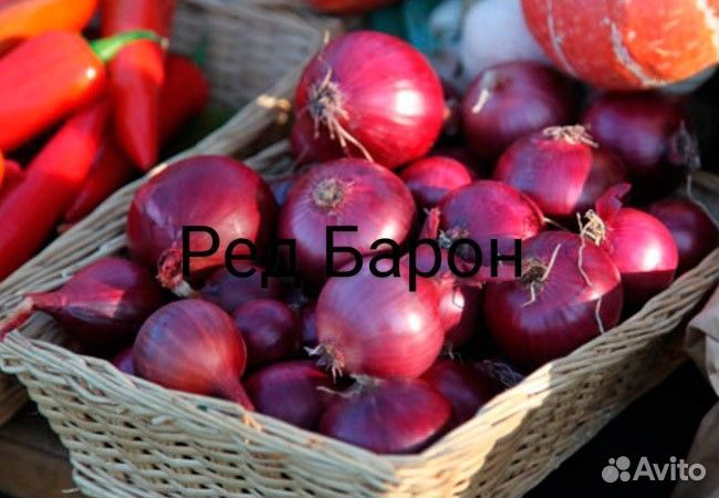 Лук Эксибишен F1(семена)