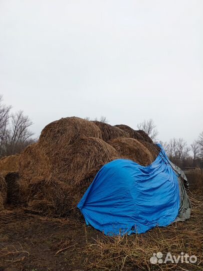 Продаётся сено