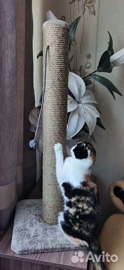 Высокие Когтеточки для обычных и крупных пород