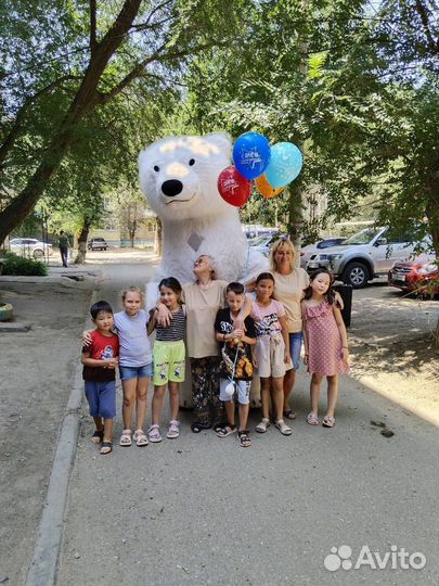 Белый Мишка Праздник