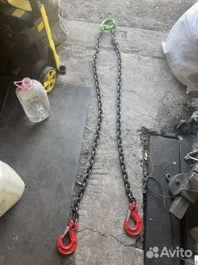 Паук цепной