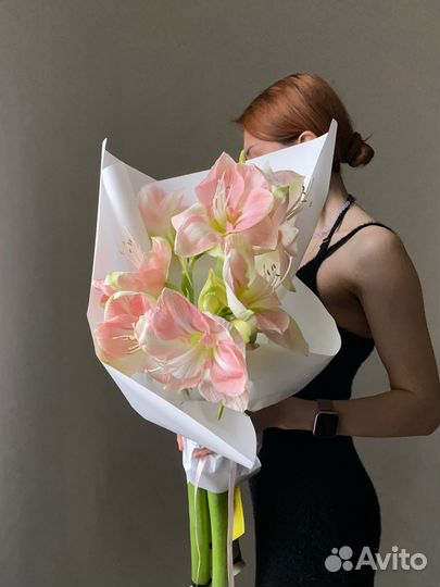 Амариллисы - идеальный интерьерный цветок