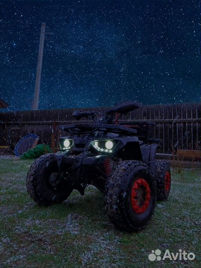 Квадроцикл promax wild 175