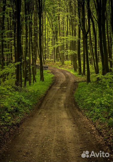 Водитель лесовоза с манипулятором