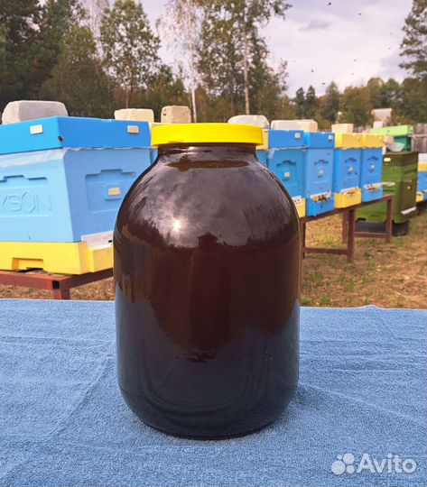 Мед гречишный, Иван чай 2023