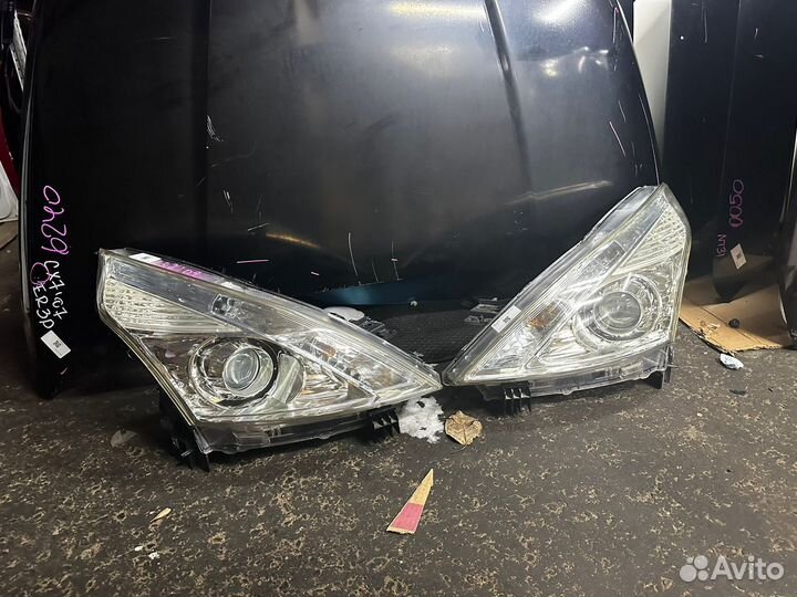 Фара линза Ниссан Теана Джи 32